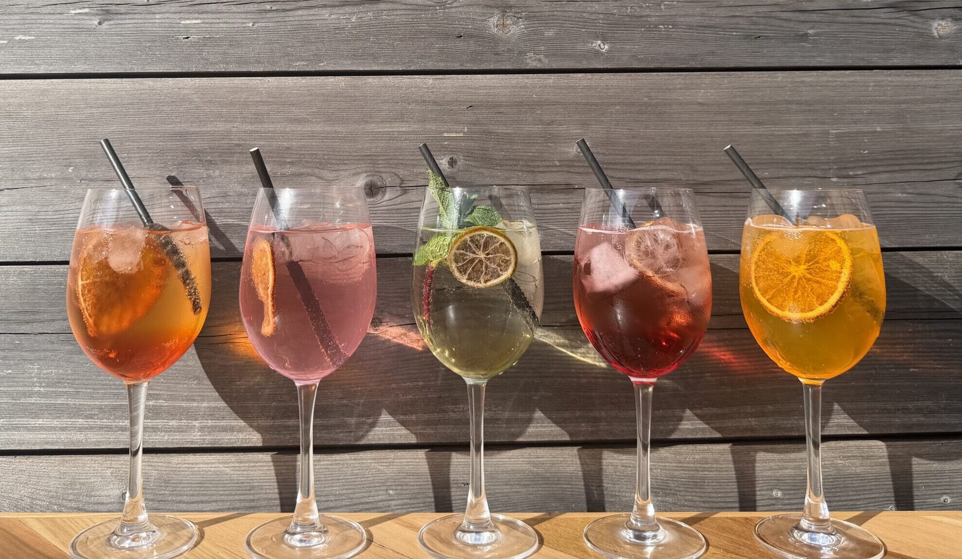 IMG_4449-scaled-e1773304665655.jpeg?w=1024&h=596&scale